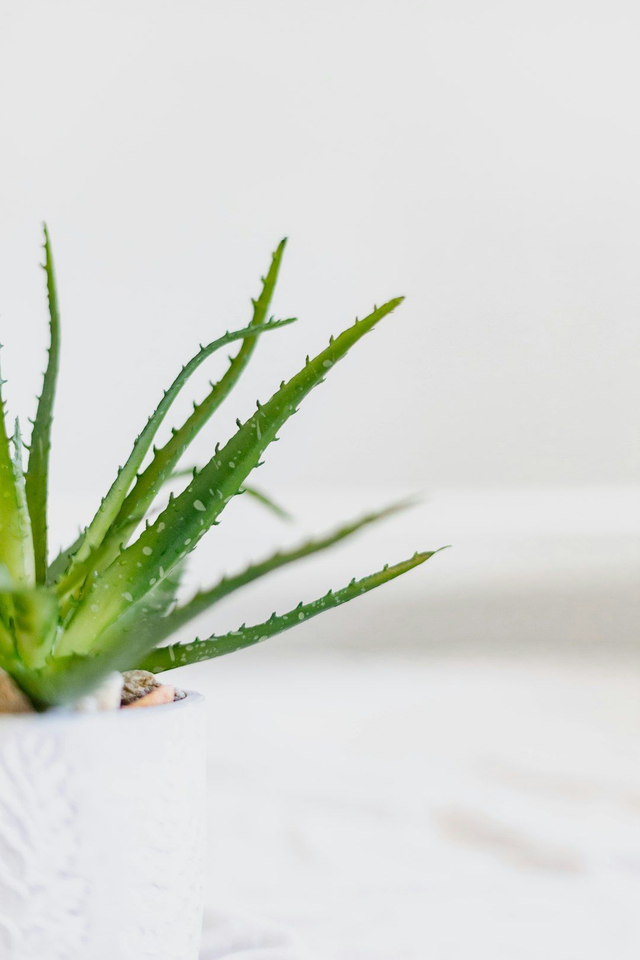 KHÔSY organic clarifying gel texture with aloe vera formula