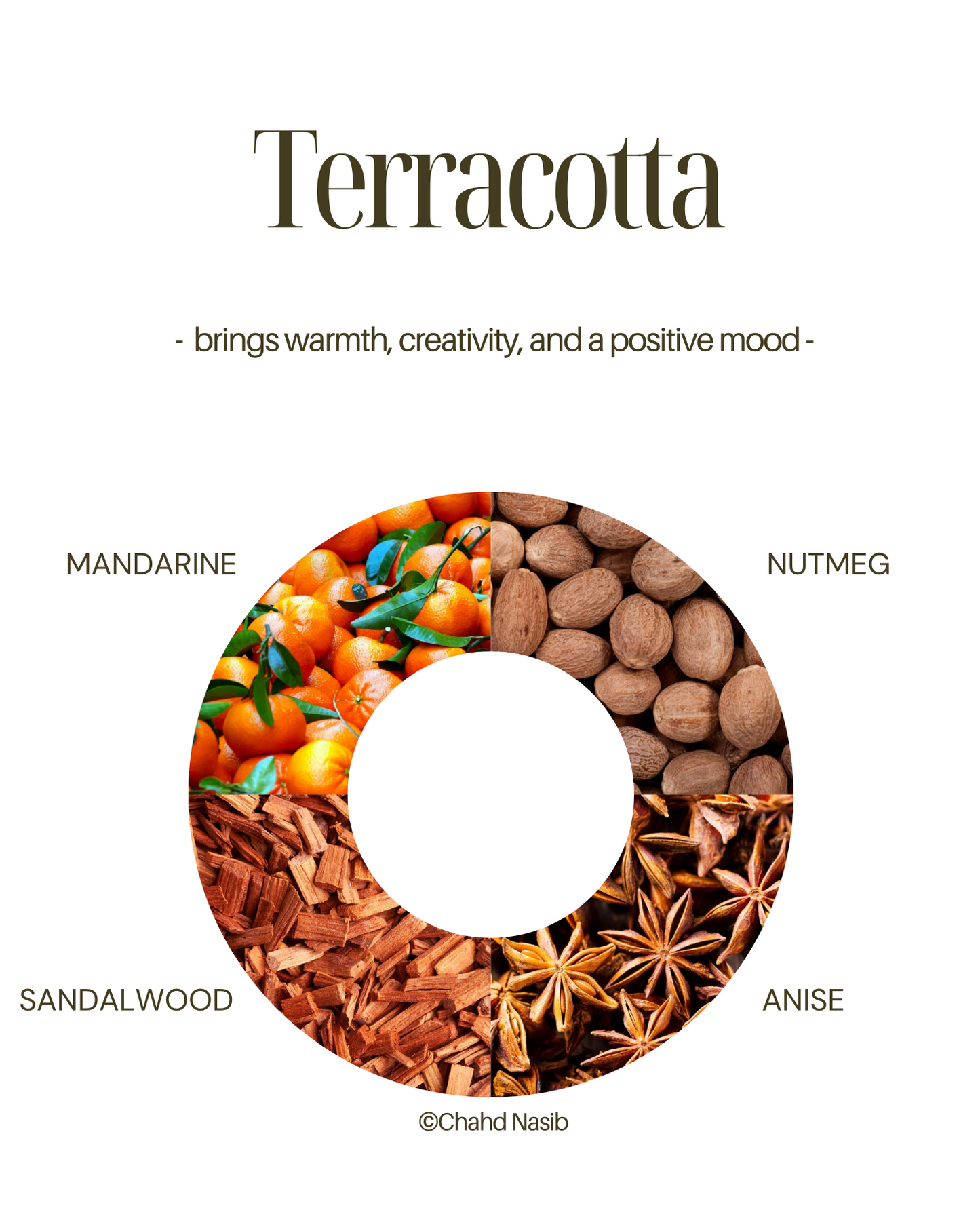 TERRACOTTA candle ingredients natural essential oils 65 hour burn time