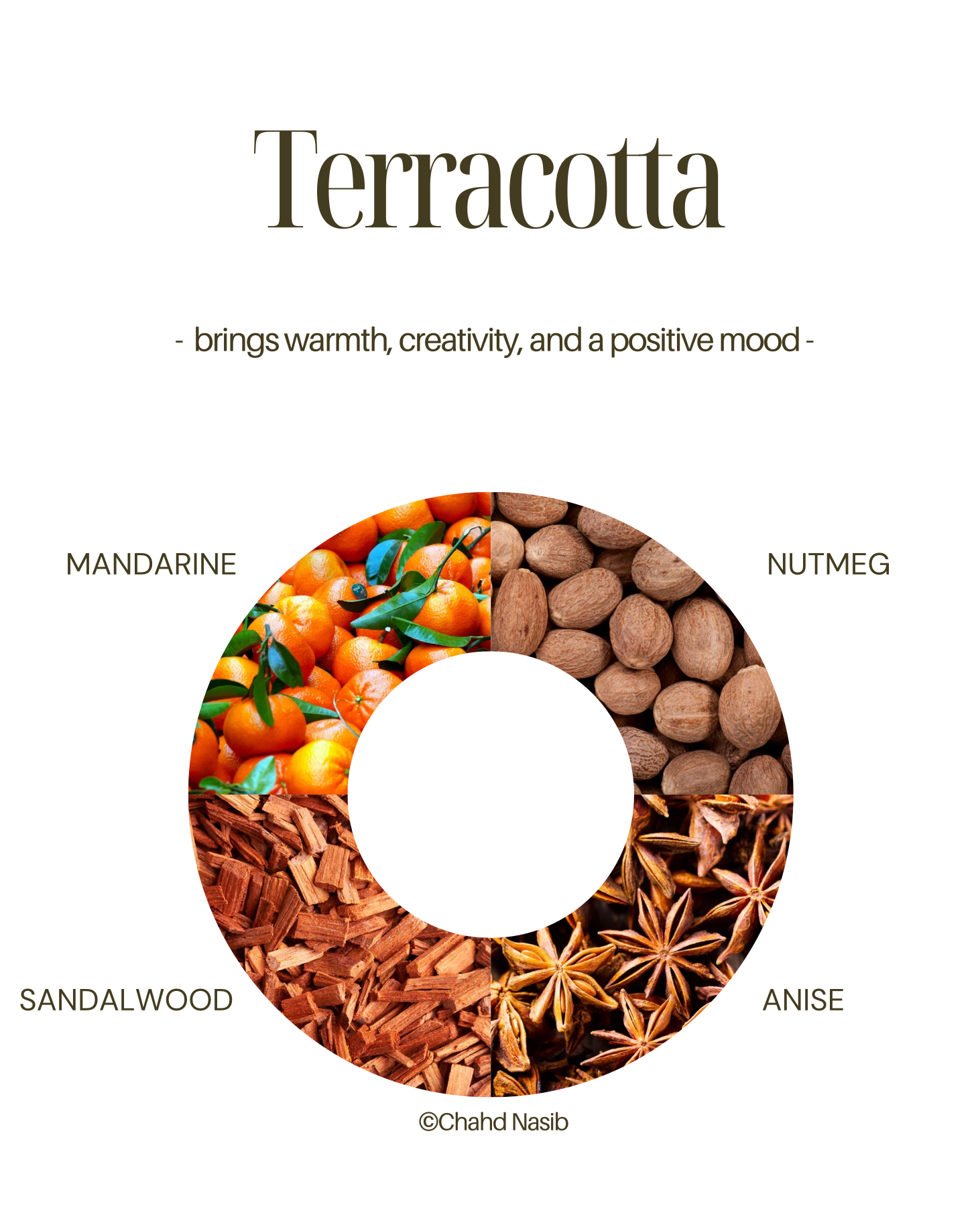 TERRACOTTA candle ingredients natural essential oils 65 hour burn time